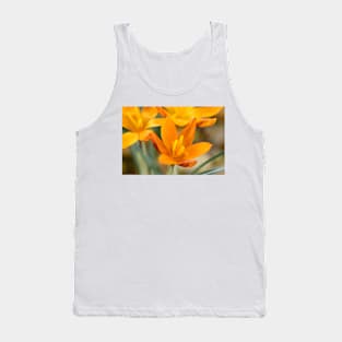 Crocus  &#39;Orange Monarch&#39; Tank Top